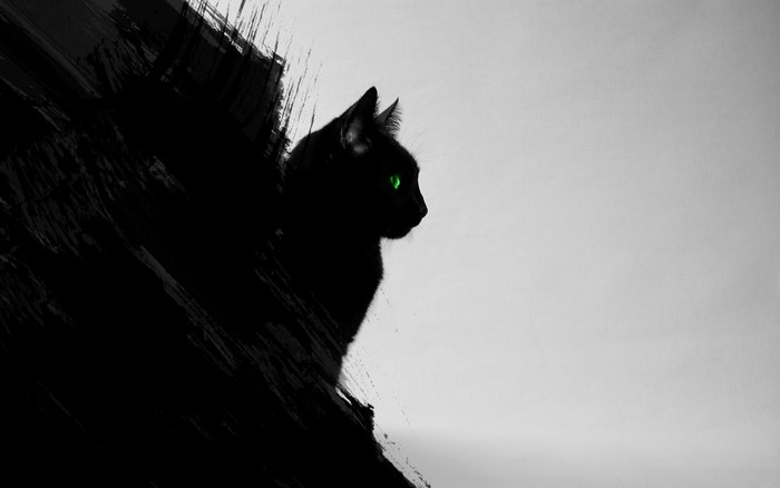 Silhouette of Black Cat with Green Eyes