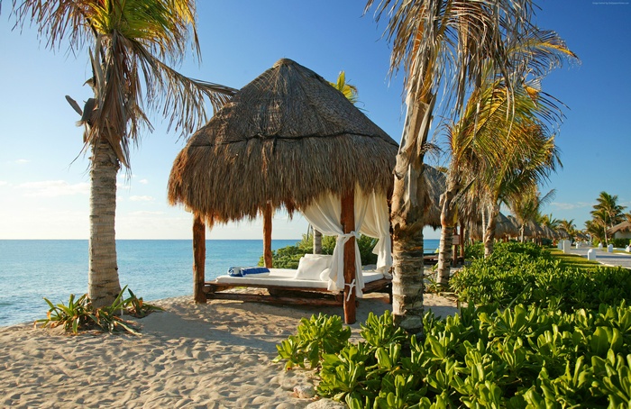Beach cabana with palm trees and ocean view