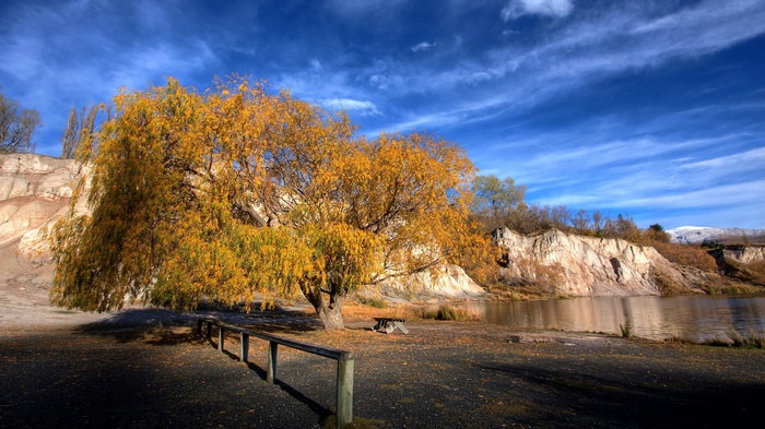 Autumn tree by a lake with rocky cliffs