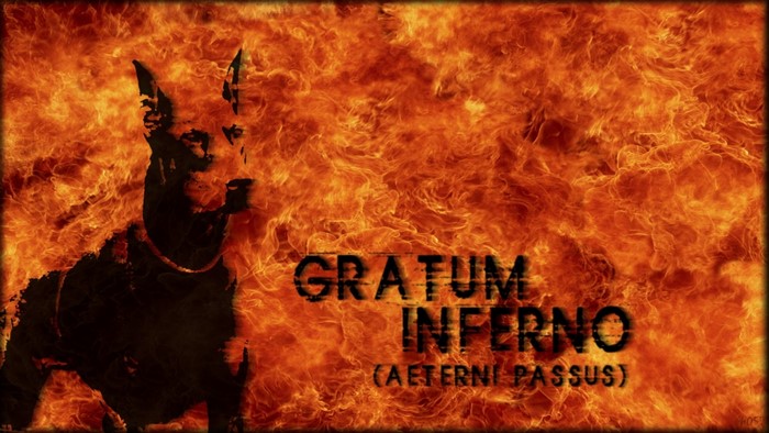 Doberman Pinscher in Flames with Latin Text