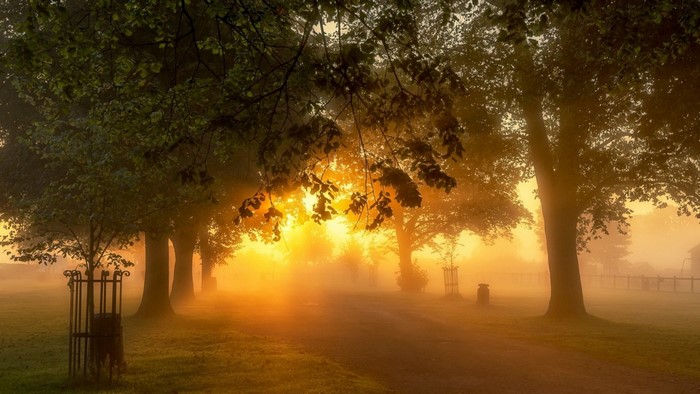 Misty sunrise over a park path with trees