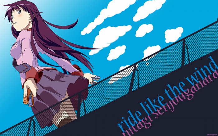 Senjougahara Hitagi from Monogatari Series