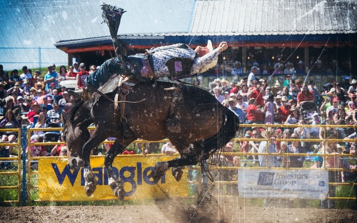 Bronc rider in a rodeo event with a crowd watching