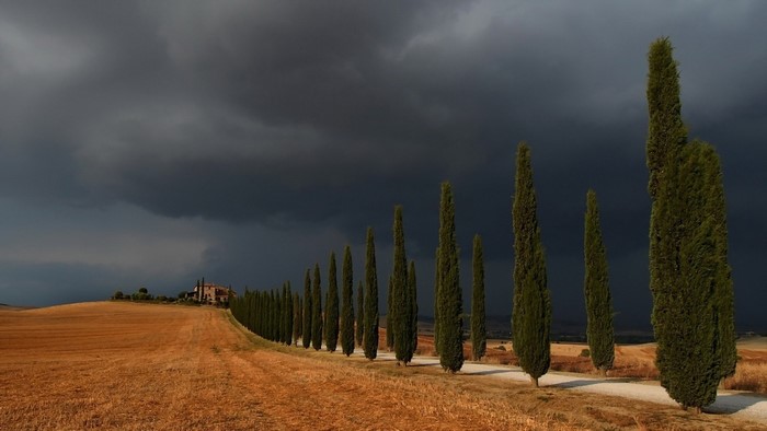 Tuscan landscape with cypress trees and stormy sky