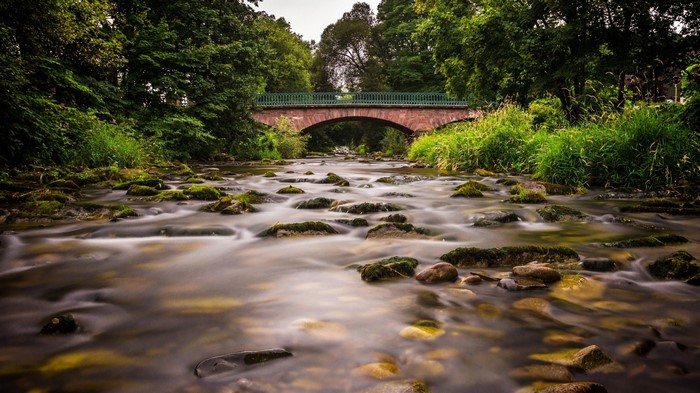 Stone bridge over a rocky stream in a forest