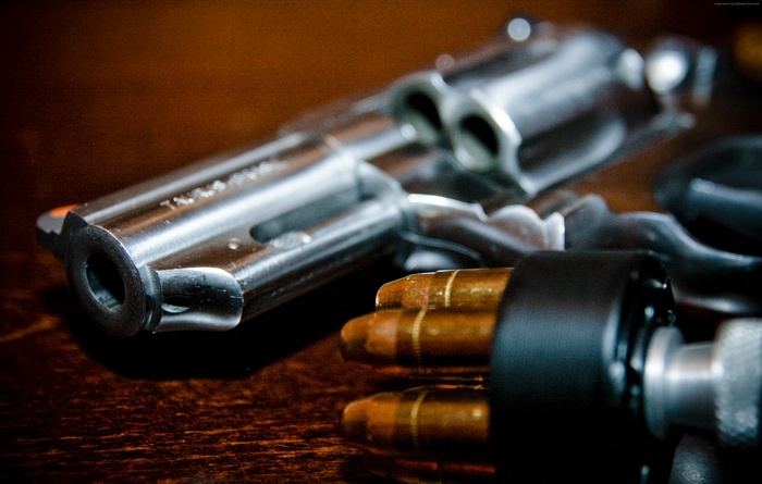 Taurus Revolver with Ammunition