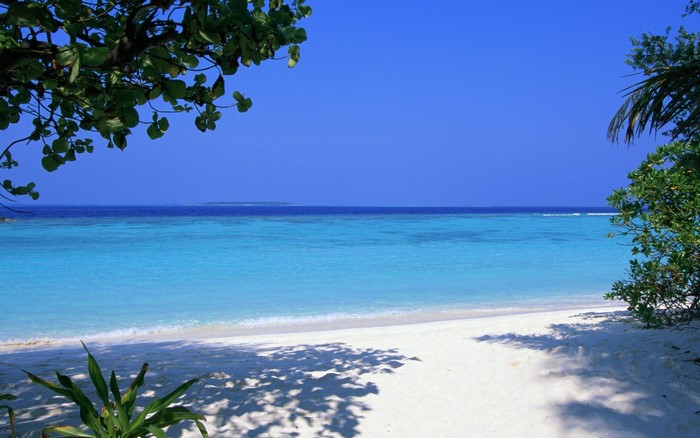 Tropical beach with turquoise water and blue sky