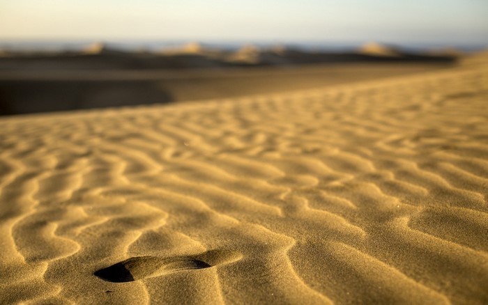 Sand dunes with ripples and a distant horizon