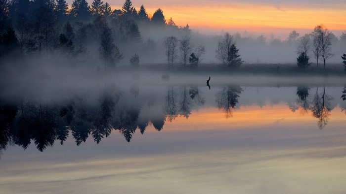 Misty forest landscape reflected in calm water at sunrise