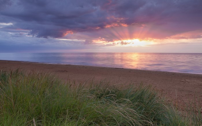 Sunset over the sea with beach and grass