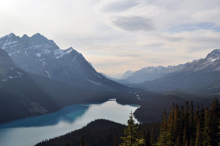 Turquoise lake surrounded by dark pine forest and snow-capped mountains
