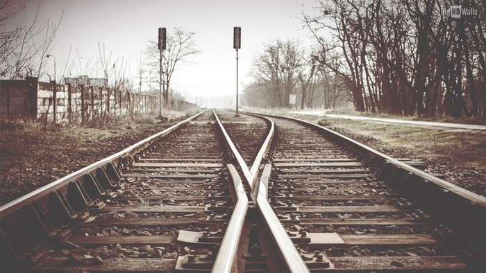 Train tracks splitting at a junction with signals