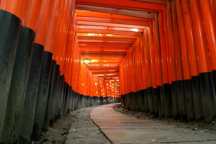 Orange Torii Gate Tunnel Path in Japan