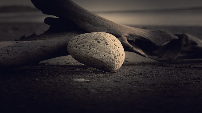 Close up of a rock on sand with driftwood