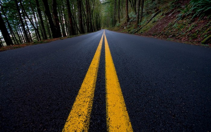 Empty forest road with double yellow lines