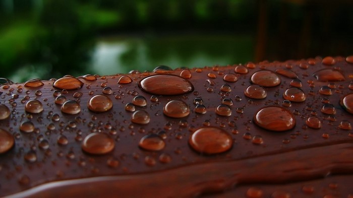 Water droplets on a wooden surface