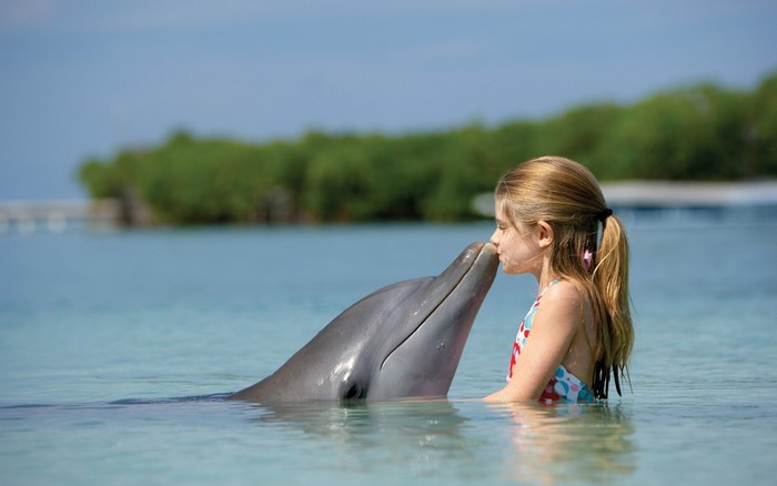Girl kissing a dolphin in the ocean