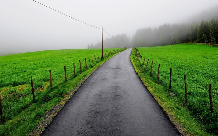 Road through a foggy green landscape with trees