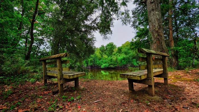 Two wooden benches facing a calm river in a forest