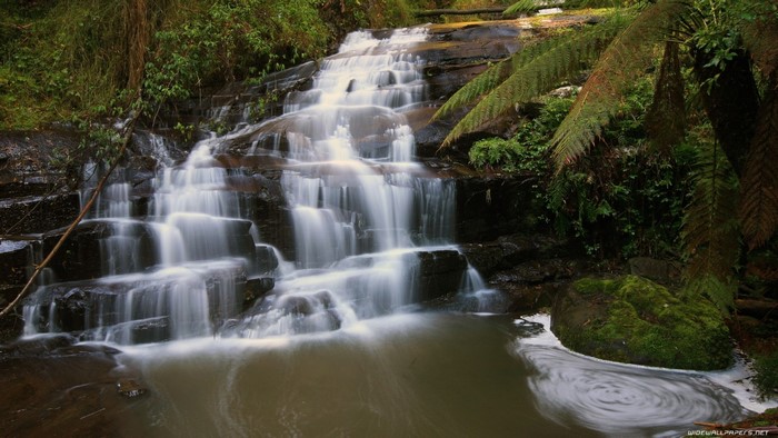 A cascading waterfall flows over dark rocks in a forest