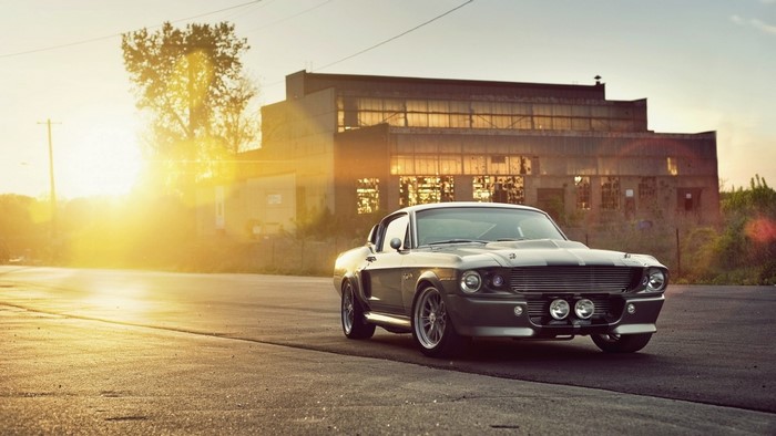 Gray 1967 Ford Mustang Shelby GT500 parked on asphalt