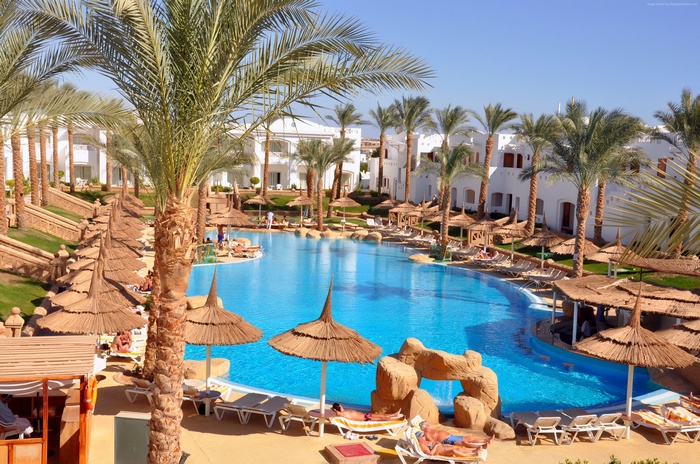 Resort with pool and palm trees