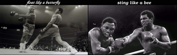 Muhammad Ali and Joe Frazier boxing match