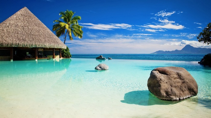 Tropical infinity pool with thatched roof bar and ocean view