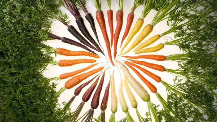 Assortment of colorful carrots arranged in a circle
