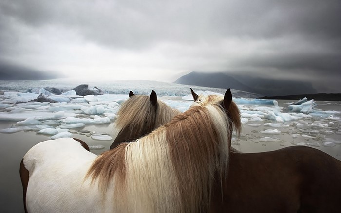 Two horses in front of a glacial lagoon