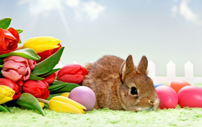 Brown rabbit with tulips and Easter eggs