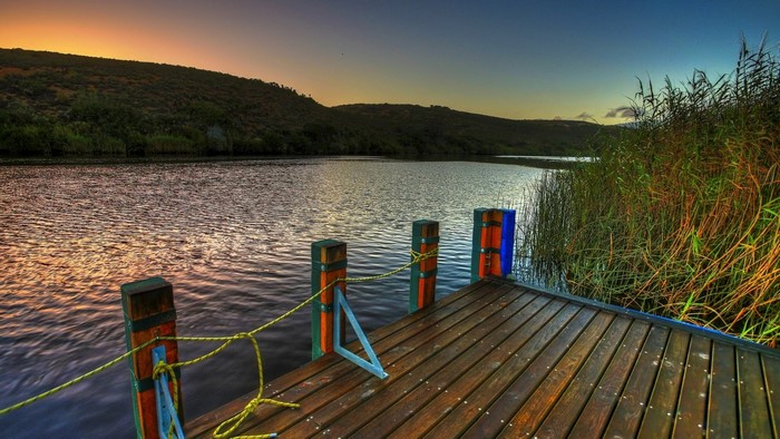 Wooden pier on a lake at sunset with reeds