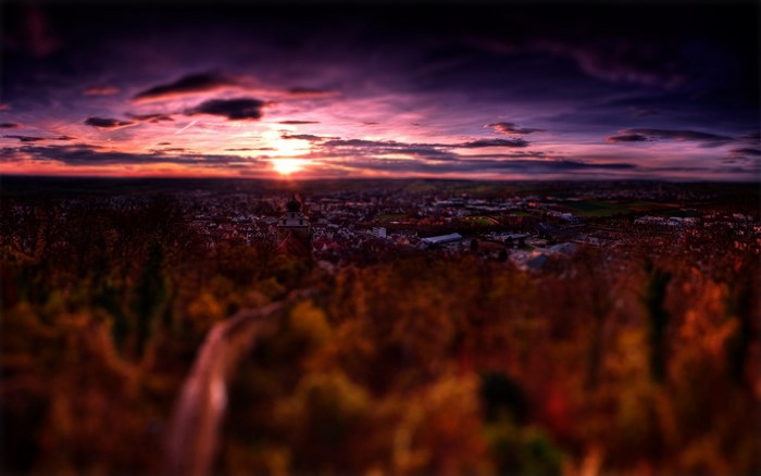 Sunset over a city with autumn trees