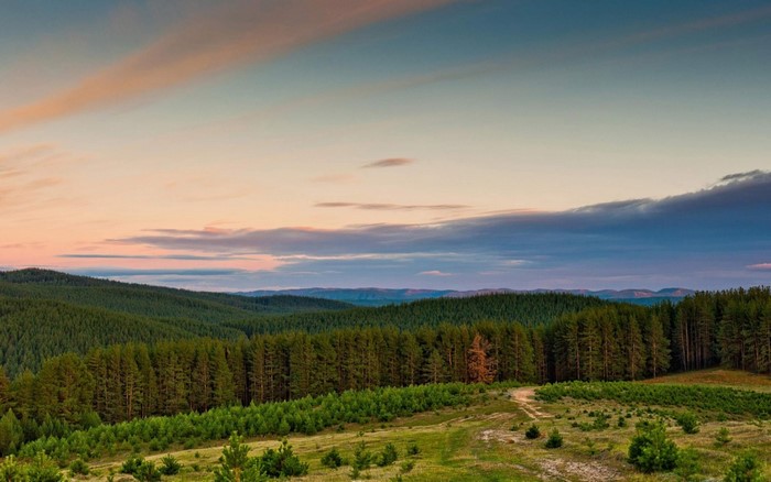 Forest landscape at sunset with rolling hills and sky