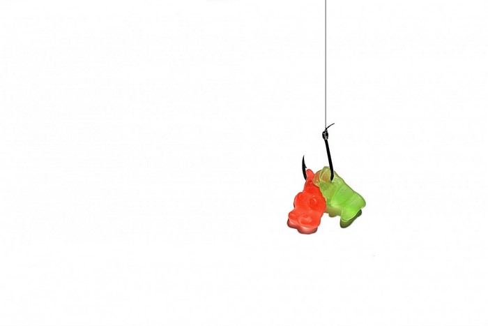 Gummy bears on a fishing hook