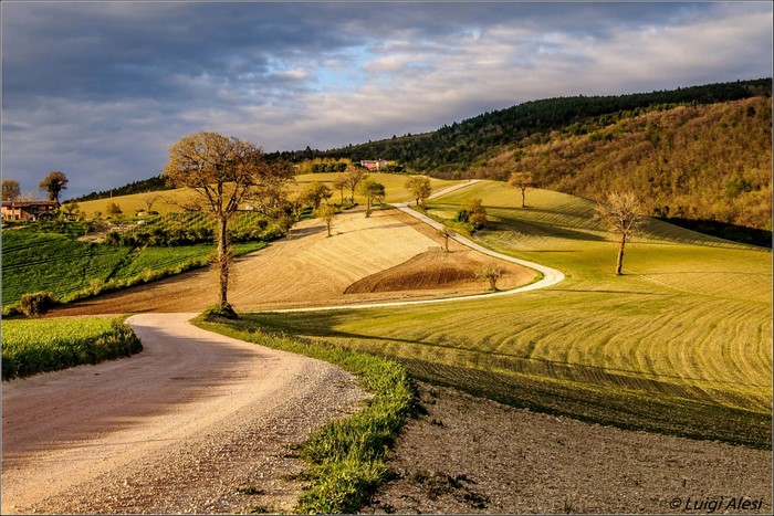 Winding road through rolling hills in Italy