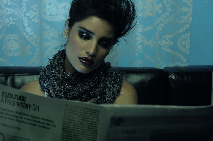 Model reading Sylvia Plath article