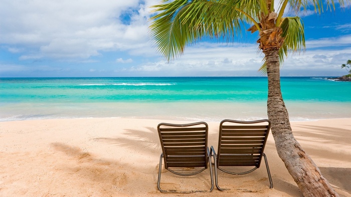 Two empty lounge chairs under a palm tree on a tropical beach