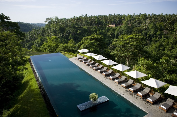 Infinity pool overlooking a lush forest in Bali