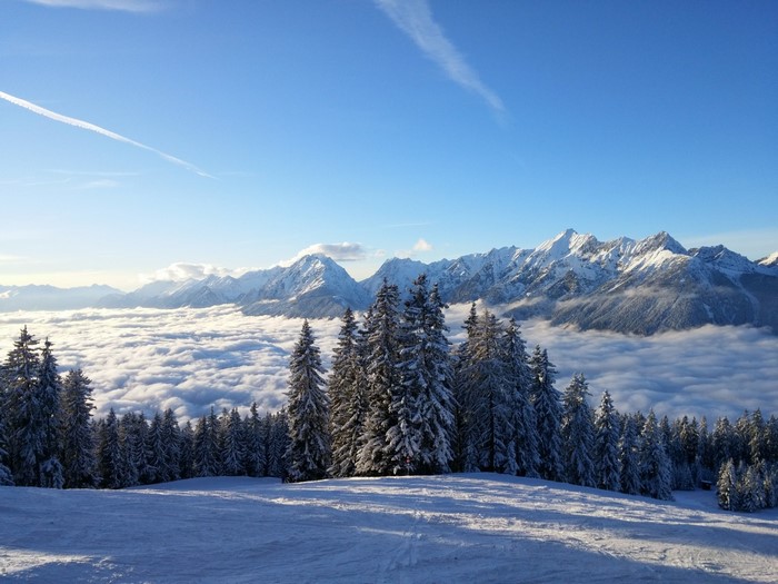 Snowy mountain range above clouds with pine trees