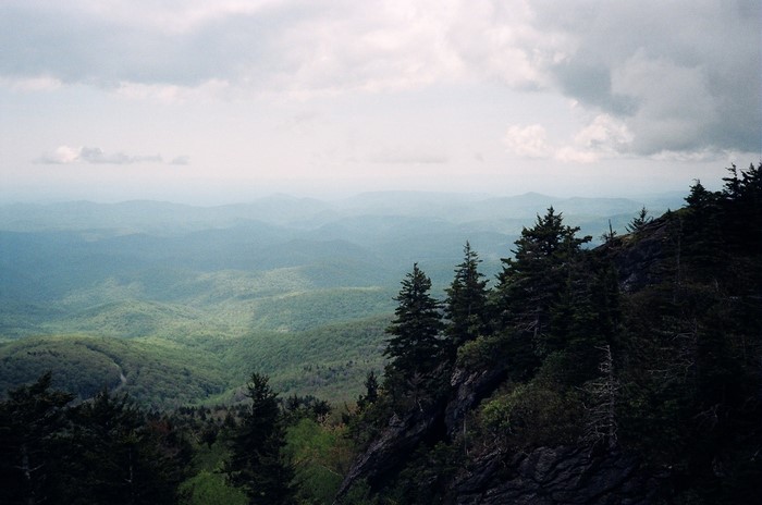 Mountain landscape with trees and rolling hills