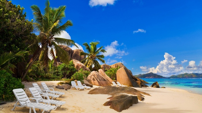 Tropical beach with palm trees and lounge chairs