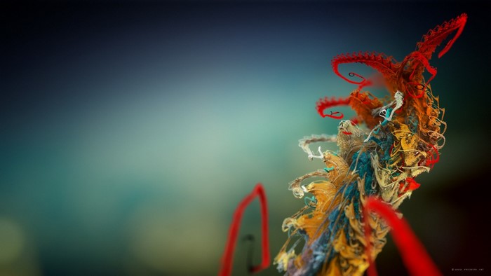 Abstract macro photography of colorful threads and red strands