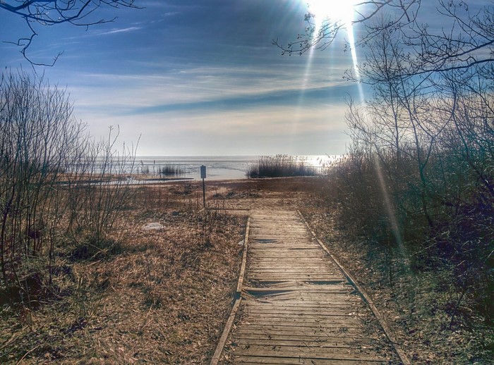 Wooden boardwalk leading to a calm body of water under a bright sun