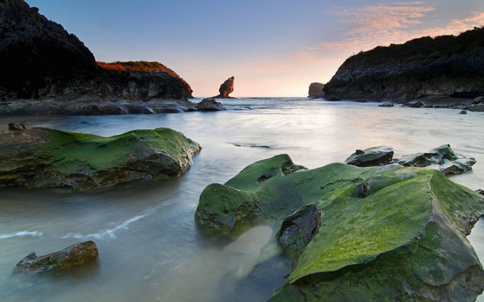 Mossy rocks in a calm sea bay at sunset