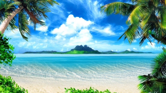 Tropical island with palm trees and clear blue water