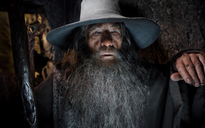 Gandalf the Grey from The Hobbit