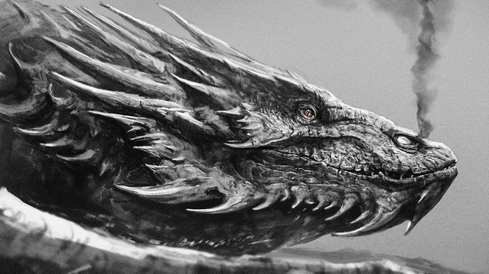 Close up drawing of a dragon's head