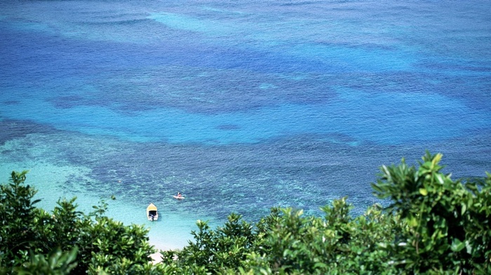 Boat and person in clear blue ocean with green foliage