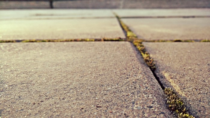Cracked concrete pavement with moss growing in the cracks